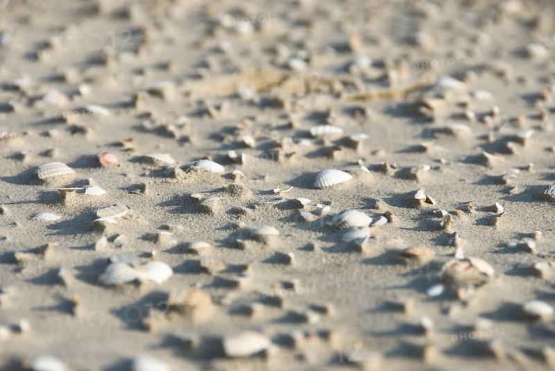 Impressions of the beach in the village of Süddorf on the North Frisian island of Amrum, Amrum, Süddorf beach, North Frisia, Germany