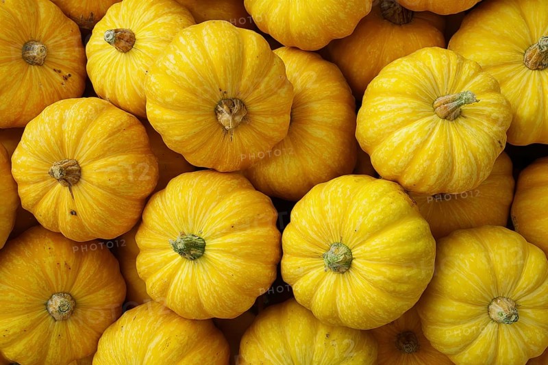 Hokkaido pumpkin, edible pumpkin, full-size, AI generated