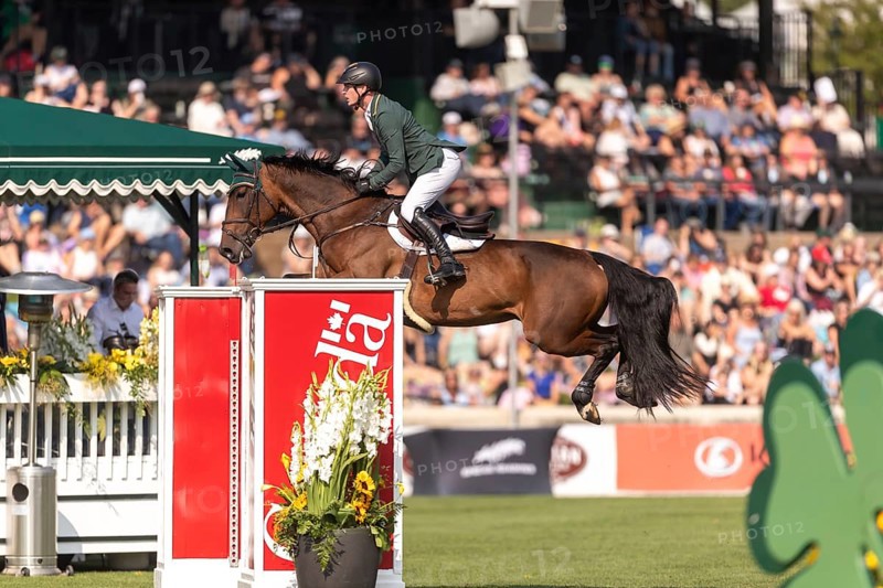 Daniel Coyle of Ireland, riding Legacy, competes in the first round of the 2025 BMO Nations Cup during the Spruce Meadows Masters on September 6, 2025 in Calgary, Alberta, Canada, North America