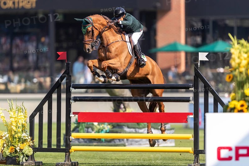 Gabriel De Matos Machado of Brazil, riding Nyles Van de Mottelhoeve, competes in the first round of the 2025 BMO Nations Cup during the Spruce Meadows Masters on September 6, 2025 in Calgary, Alberta, Canada, North America