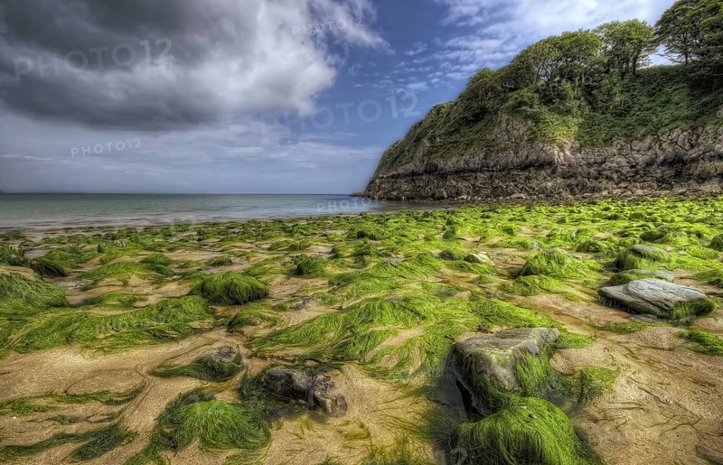 On the beach at Barafundle Bay, Pembrokeshire, Wales. By far my favourite beach in the UK