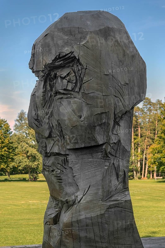 Wooden sculpture by Klaus Prior, New Castle in Kisslegg, Allgäu, Baden-Württemberg, Germany