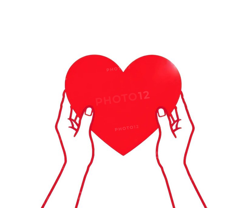 Two hands, drawn with a red outline, cradle a vibrant red heart against a clean white backdrop, symbolizing love and care, AI generated