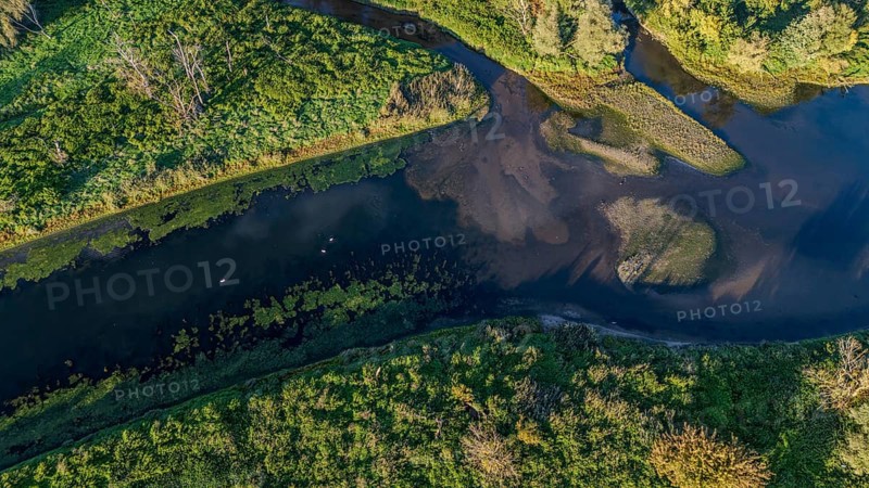 The tranquil oxbow lake of the Danube meanders through lush greenery. The surrounding area features a variety of trees and shrubs that complement the idyllic landscape. Bogen, Lower Bavaria