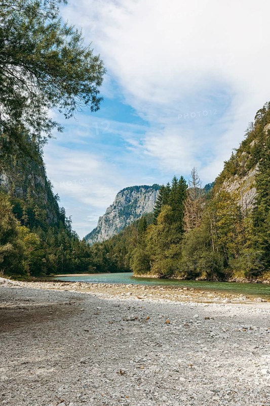 Riverbed of the Enns between trees and rock faces, Gesäuse, Styria, Austria