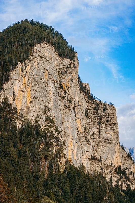 Steep rock face with forest at its feet, rising into blue sky, Admont, Styria, Austria