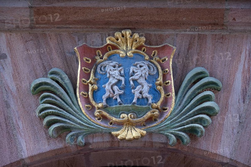 Coat of arms from the 16th century, at the flea market, Nuremberg, Middle Franconia, Bavaria, Germany
