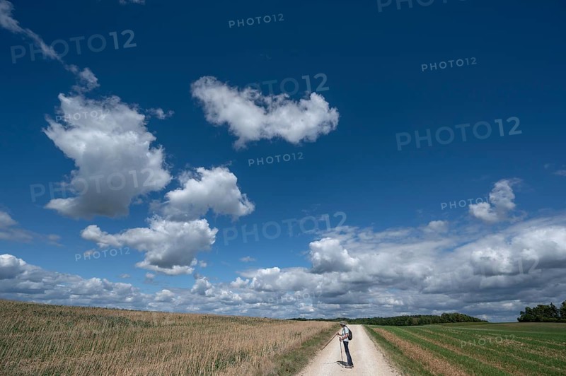 Hiker on a field path in Franconian landscape, cloudy sky, Karsberg, Upper Franconia, Bavaria, Germany