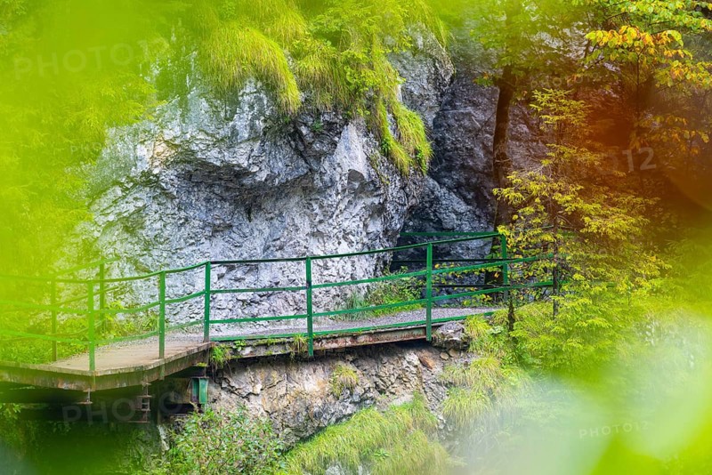Hiking trail through the gorge, footbridge, coloured foliage, Schrattenkalk, Breitachklamm, Oberstdorf, Allgäu Alps, Bavaria, Germany