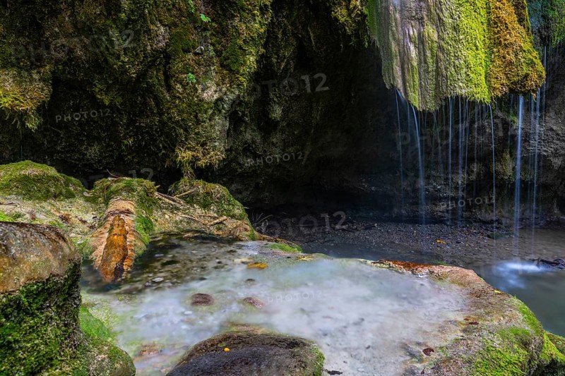 Sinterstein with mosses, Hinanger waterfalls, gorge, rock, limestone, Hinang, Fischen, Allgäu Alps, Bavaria, Germany