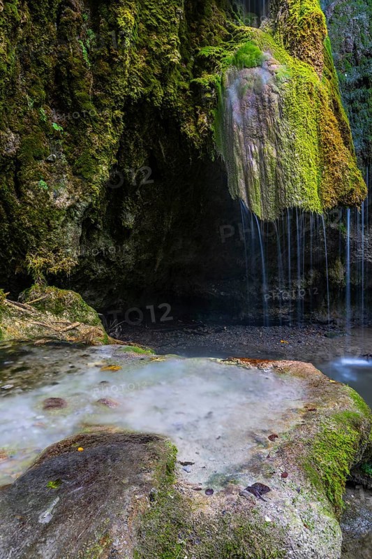 Sinterstein with mosses, Hinanger waterfalls, gorge, rock, limestone, Hinang, Fischen, Allgäu Alps, Bavaria, Germany