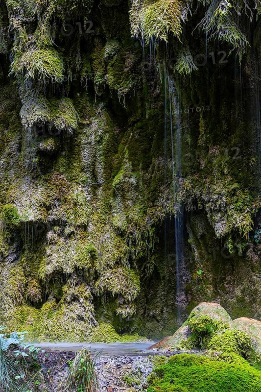 Sintered rock overgrown with mosses, Hinang waterfalls, gorge, rock, limestone, Hinang, Fischen, Allgäu Alps, Bavaria, Germany