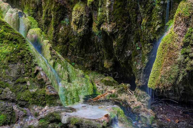 Sintered rock overgrown with mosses, Hinang waterfalls, gorge, rock, limestone, Hinang, Fischen, Allgäu Alps, Bavaria, Germany
