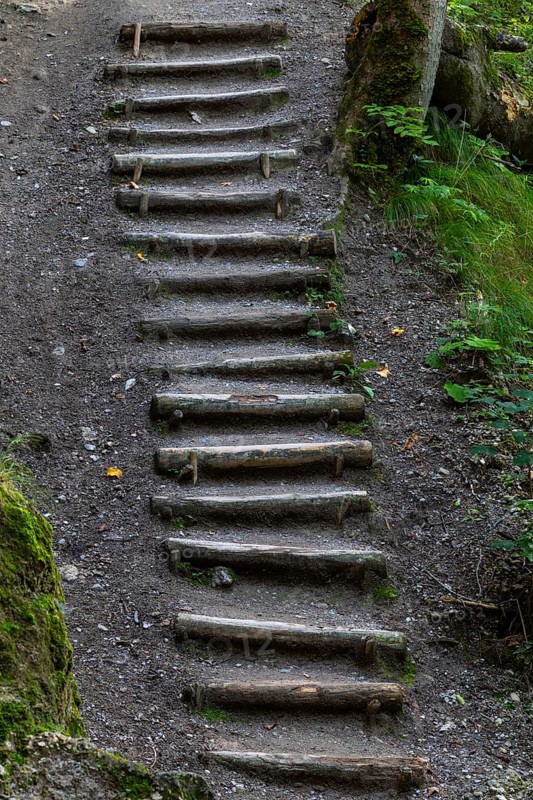 Hiking stairs made of wooden steps, gorge, Hinang, Fischen, Allgäu Alps, Bavaria, Germany