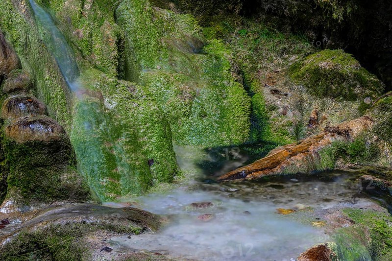 Sinterstein overgrown with mosses, Hinanger waterfalls, gorge, rock, limestone, Hinang, Fischen, Allgäu Alps, Bavaria, Germany