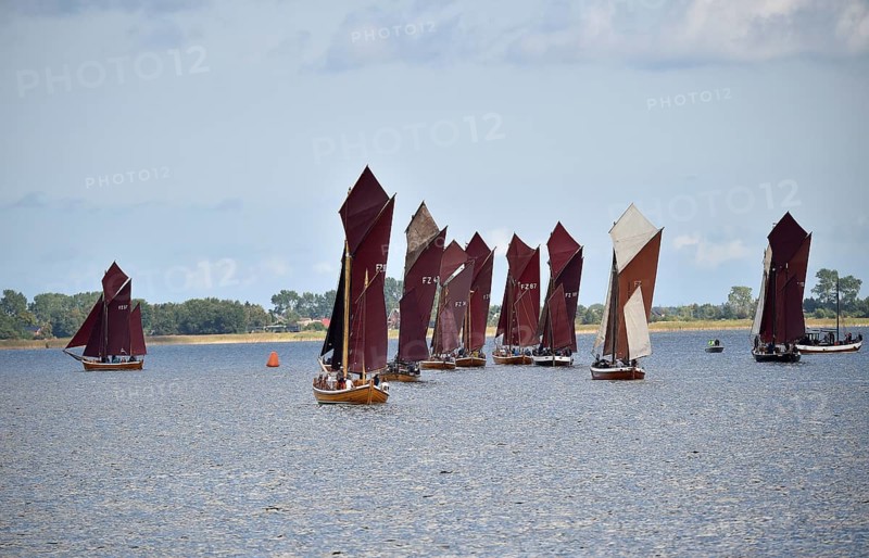 Zeesbootregatta on the Bodden near Bodstedt, Darß, Mecklenburg-Vorpommern, Germany