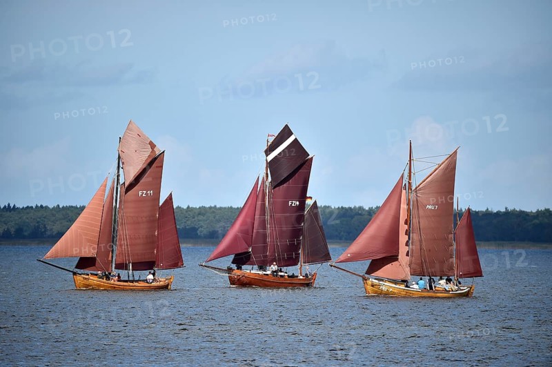 Zeesbootregatta on the Bodden near Bodstedt, Darß, Mecklenburg-Vorpommern, Germany