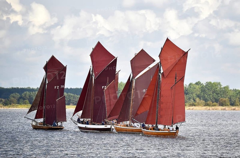 Zeesbootregatta on the Bodden near Bodstedt, Darß, Mecklenburg-Vorpommern, Germany