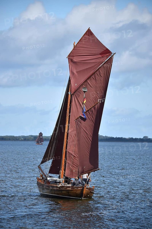 Zeesbootregatta on the Bodden near Bodstedt, Darß, Mecklenburg-Vorpommern, Germany