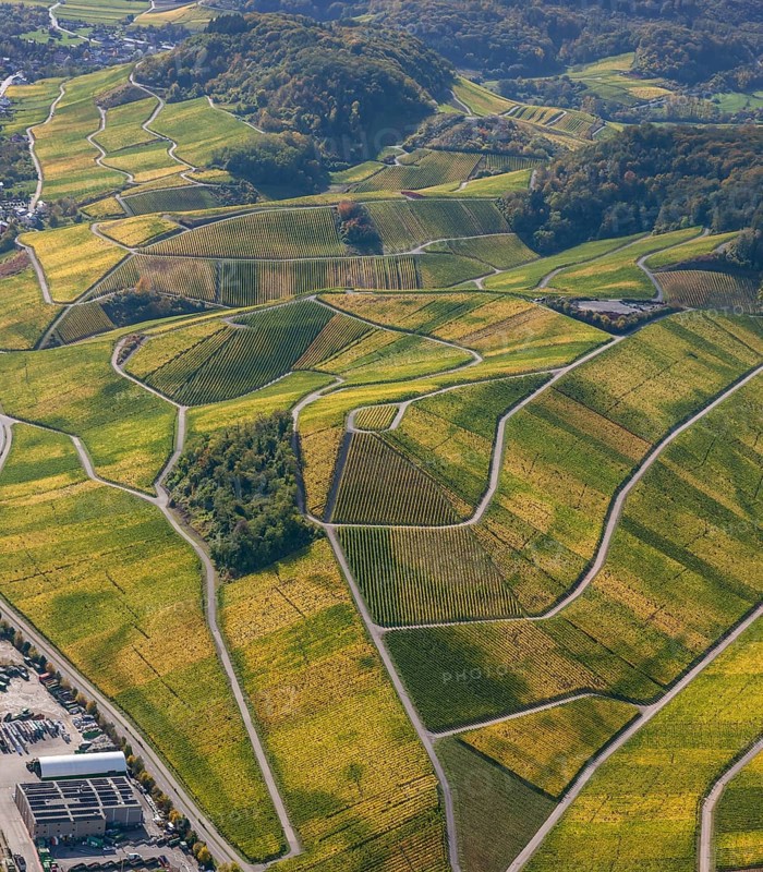Aerial photo, wine-growing region Moselle Luxembourg, vineyards, Wellenstein, Saarland, Grevenmacher, Luxembourg, Europe, birds-eyes view, aerial photography, aerial photography, overview, overview, bird's eye view
