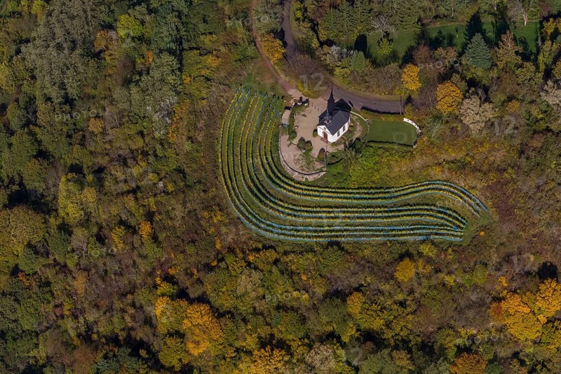 Aerial view, chapel at Ellerweg, vineyard, Merzig, Saarland, Germany, Europe, birds-eyes view, aerial photography, aerial photography, overview, bird's eye view