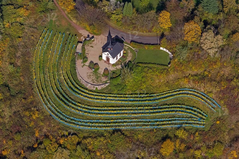 Aerial view, chapel at Ellerweg, vineyard, Merzig, Saarland, Germany, Europe, birds-eyes view, aerial photography, aerial photography, overview, bird's eye view