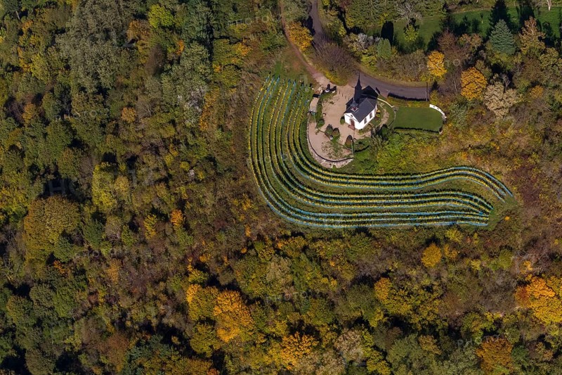 Aerial view, chapel at Ellerweg, vineyard, Merzig, Saarland, Germany, Europe, birds-eyes view, aerial photography, aerial photography, overview, bird's eye view