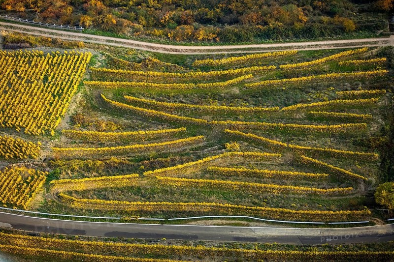 Serpentine roads in the vineyards of Oberwesel near Loreley, Rhine valley, Rhine wine, colourful vine leaves, Golden October, Oberwesel, Rhine-Hunsrück district, Rhineland-Palatinate, Germany, Europe, aerial view, birds-eyes view, aerial photography, aerial photography, overview, bird's eye view