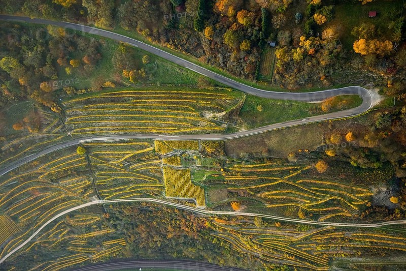 Serpentine roads in the vineyards of Oberwesel near Loreley, Rhine valley, Rhine wine, colourful vine leaves, Golden October, Oberwesel, Rhine-Hunsrück district, Rhineland-Palatinate, Germany, Europe, aerial view, birds-eyes view, aerial photography, aerial photography, overview, bird's eye view