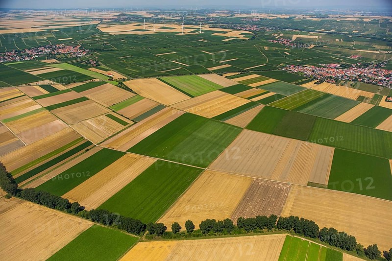Fields near Mörstadt, agriculture, agriculture, villages, Worms, Rhineland-Palatinate, Germany, Mörstadt, Europe, aerial view, birds-eyes view, aerial photography, aerial photography, overview, overview, bird's eye view