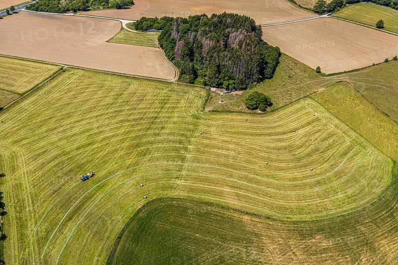 Aerial view, agricultural fields, tractor mowing meadow, Langenholthausen, Balve, Sauerland, North Rhine-Westphalia, Germany, DE, Europe, shapes and colours, agriculture, aerial view, aerial photography, aerial photography, overview, bird's-eye view, meadows and fields, birds-eyes view, overview