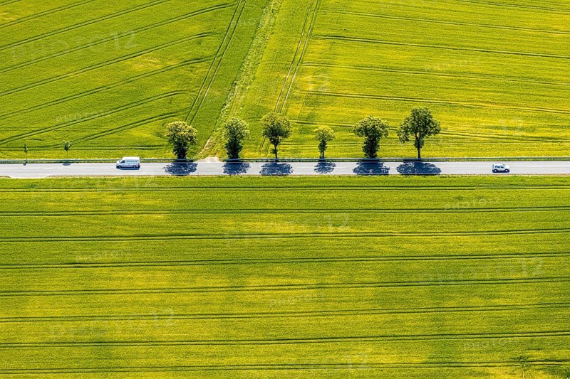 Aerial view, row of trees on country road, federal road 229, Langenholthausen, Balve, Sauerland, North Rhine-Westphalia, Germany, federal road B229, DE, Europe, shapes and colours, green trees, aerial view, aerial photography, aerial photography, overview, bird's-eye view, meadows and fields, birds-eyes view, overview