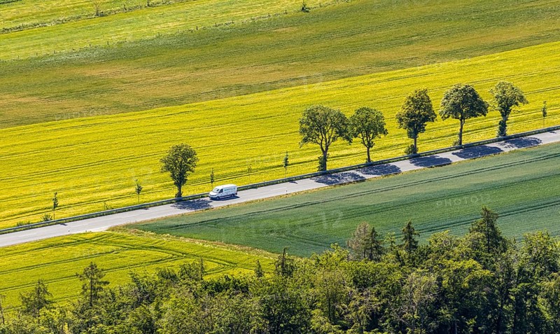 Aerial view, row of trees on country road, federal road 229, Langenholthausen, Balve, Sauerland, North Rhine-Westphalia, Germany, federal road B229, DE, Europe, shapes and colours, green trees, aerial view, aerial photography, aerial photography, overview, bird's-eye view, meadows and fields, birds-eyes view, overview