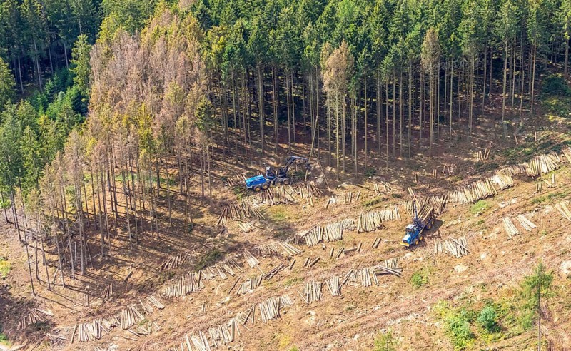 Aerial photo, deforestation, harvester, nature reserve Eidmecketalsystem, Bestwig, Sauerland, North Rhine-Westphalia, Germany, deforestation, Arnsberg forest, tree trunks, DE, Europe, aerial photo, aerial photography, aerial photography, mixed forest, nature reserve Schlebornbach-Düstere Siepen, overview, bird's eye view, forest, forest area, forest damage, forest dieback, birds-eyes view, overview, timber industry, forestry, forestry, too dry summer, spruce stand