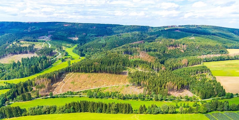 Aerial photo, deforestation, harvester, nature reserve Eidmecketalsystem, Bestwig, Sauerland, North Rhine-Westphalia, Germany, deforestation, Arnsberg forest, tree trunks, DE, Europe, aerial photo, aerial photography, aerial photography, mixed forest, nature reserve Schlebornbach-Düstere Siepen, overview, bird's eye view, forest, forest area, forest damage, forest dieback, birds-eyes view, overview, timber industry, forestry, forestry, too dry summer, spruce stand