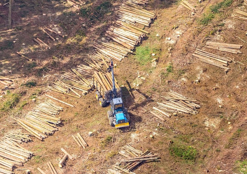 Aerial photo, deforestation, harvester, nature reserve Eidmecketalsystem, Bestwig, Sauerland, North Rhine-Westphalia, Germany, deforestation, Arnsberg forest, tree trunks, DE, Europe, aerial photo, aerial photography, aerial photography, mixed forest, nature reserve Schlebornbach-Düstere Siepen, overview, bird's eye view, forest, forest area, forest damage, forest dieback, birds-eyes view, overview, timber industry, forestry, forestry, too dry summer, spruce stand