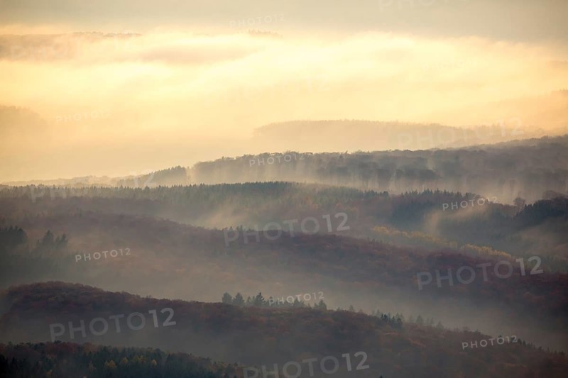 Forests of the Middle Rhine Taunus in the fog, Taunus, forest, Dachsenhausen, Rhine Valley, Rhineland-Palatinate, Germany, Europe, aerial photo, birds-eyes view, aerial photography, aerial photography, overview, bird's eye view