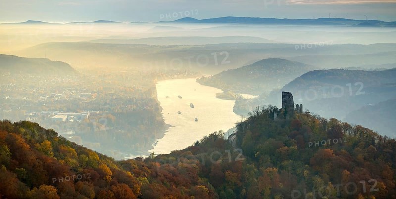 Drachenfels castle ruins against the backdrop of the Rhine, Rhine valley, Rhine, colourful autumn leaves, autumn forest, Königswinter, Siebengebierge between Königswinter and Bad Honnef, autumn leaves, North Rhine-Westphalia, Germany, Europe, aerial photo, birds-eyes view, aerial photograph, aerial photography, aerial photography, overview, bird's eye view