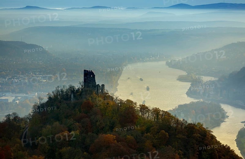 Drachenfels castle ruins against the backdrop of the Rhine, Rhine valley, Rhine, colourful autumn leaves, autumn forest, Königswinter, Siebengebierge between Königswinter and Bad Honnef, autumn leaves, North Rhine-Westphalia, Germany, Europe, aerial photo, birds-eyes view, aerial photograph, aerial photography, aerial photography, overview, bird's eye view