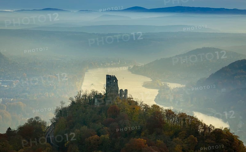 Drachenfels castle ruins against the backdrop of the Rhine, Rhine valley, Rhine, colourful autumn leaves, autumn forest, Königswinter, Siebengebierge between Königswinter and Bad Honnef, autumn leaves, North Rhine-Westphalia, Germany, Europe, aerial photo, birds-eyes view, aerial photograph, aerial photography, aerial photography, overview, bird's eye view