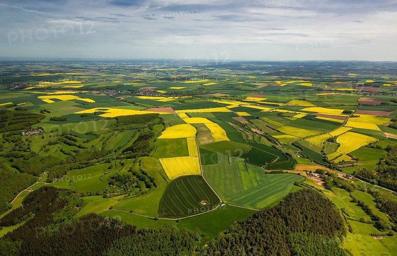 Agricultural fields and rape fields near Heimbach, Heimbach, Eifel, North Rhine-Westphalia, Germany, Europe, aerial view, birds-eyes view, aerial photography, aerial photography, overview, overview, bird's eye view