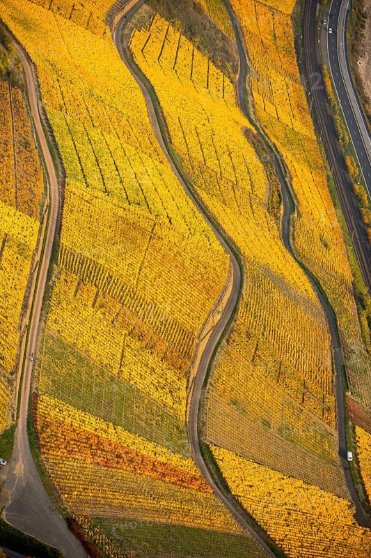 Rhine valley on the left bank of the Rhine with vineyards and autumn leaves, steep vineyards, paths in the vineyard, Boppard, Rhine valley, Rhineland-Palatinate, Germany, Europe, aerial view, birds-eyes view, aerial photography, aerial photography, overview, bird's eye view