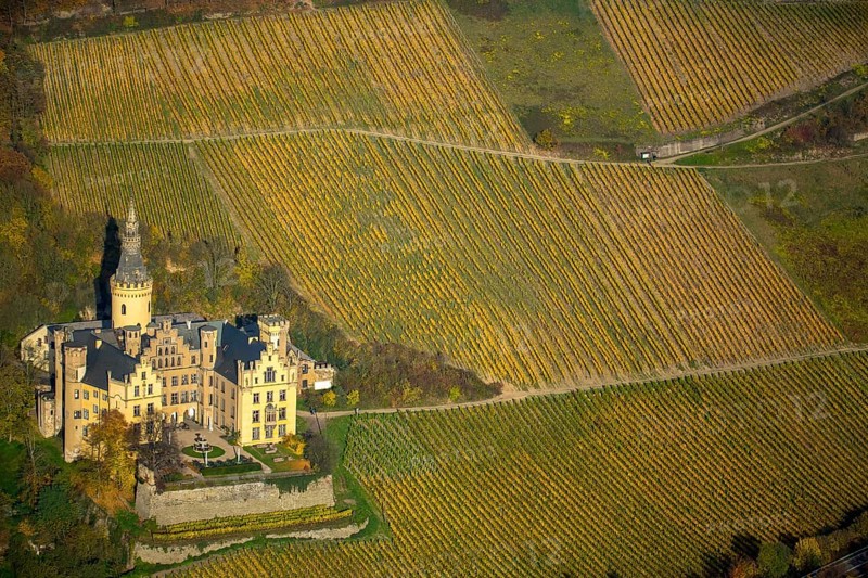 Vineyards in autumn, vine leaves, late harvest, Arensfels Castle, owned by Baron Antonius Geyr von Schweppenburg, Bad Breisig, Neuwied district, Rhineland-Palatinate, Germany, Europe, aerial view, birds-eyes view, aerial photography, aerial photography, overview, bird's eye view
