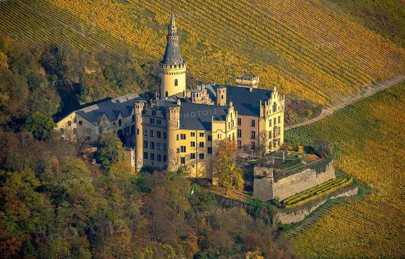 Vineyards in autumn, vine leaves, late harvest, Arensfels Castle, owned by Baron Antonius Geyr von Schweppenburg, Bad Breisig, Neuwied district, Rhineland-Palatinate, Germany, Europe, aerial view, birds-eyes view, aerial photography, aerial photography, overview, bird's eye view
