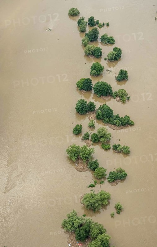 Aerial photograph, Ruhr floods, rows of trees in the Ruhr water, flooding, Blankenstein, Hattingen, Ruhr area, North Rhine-Westphalia, Germany, DE, Europe, birds-eyes view, aerial photograph, aerial photography, aerial photography, overview, bird's eye view, Ruhr floods, heavy rain, flood of the century
