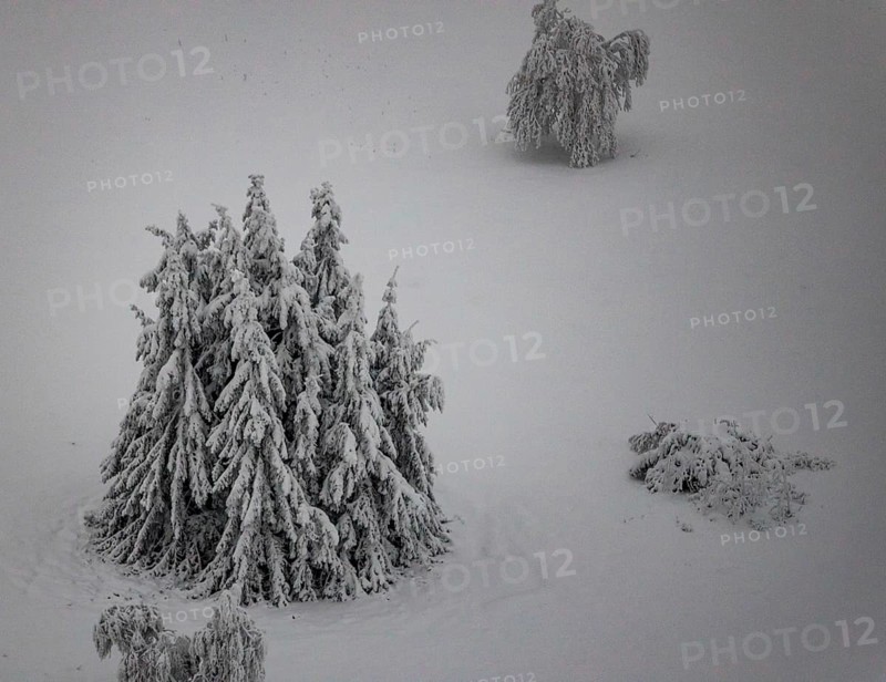 Aerial view of the snowy winter landscape of Winterberg below the Kahler Asten with snow-covered trees and firs in the Sauerland in North Rhine-Westphalia, Germany, Sauerland, Europe, aerial photo, birds-eyes view, aerial photography, aerial photography, overview, bird's eye view, lockdown, closed winter landscape, corona lockdown, deserted, snow, winter weather, corona-related lockdown, high heath in winter