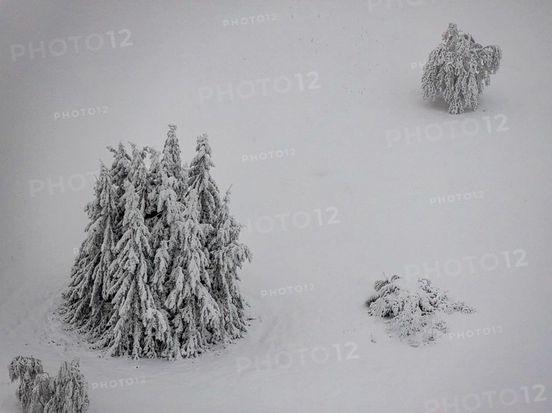 Aerial view of the snowy winter landscape of Winterberg below the Kahler Asten with snow-covered trees and firs in the Sauerland in North Rhine-Westphalia, Germany, Sauerland, Europe, aerial photo, birds-eyes view, aerial photography, aerial photography, overview, bird's eye view, lockdown, closed winter landscape, corona lockdown, deserted, snow, winter weather, corona-related lockdown, high heath in winter