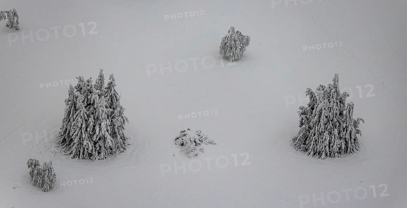 Aerial view of the snowy winter landscape of Winterberg below the Kahler Asten with snow-covered trees and firs in the Sauerland in North Rhine-Westphalia, Germany, Sauerland, Europe, aerial photo, birds-eyes view, aerial photography, aerial photography, overview, bird's eye view, lockdown, closed winter landscape, corona lockdown, deserted, snow, winter weather, corona-related lockdown, high heath in winter