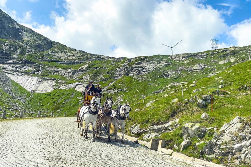 Old historic horse-drawn carriage with double team of five horses for tourist ride on historic St. Gotthard Pass road Tremola Gotthard Pass Alpine pass mountain road with cobblestones, Ticino, Ticino, Switzerland