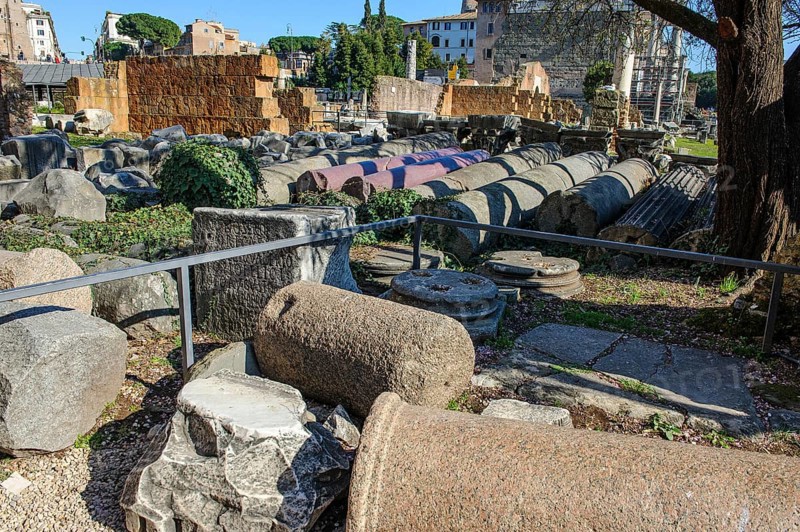 Fragments of ancient columns collected on the floor of the Roman Forum, Roman Forum, Rome, Lazio, Italy